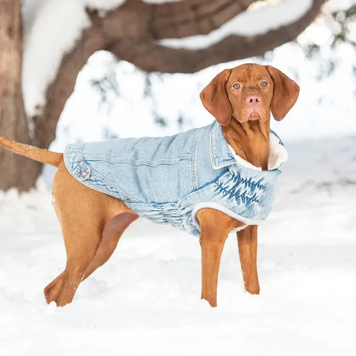 Denim Dog Winter Jacket - Light Wash