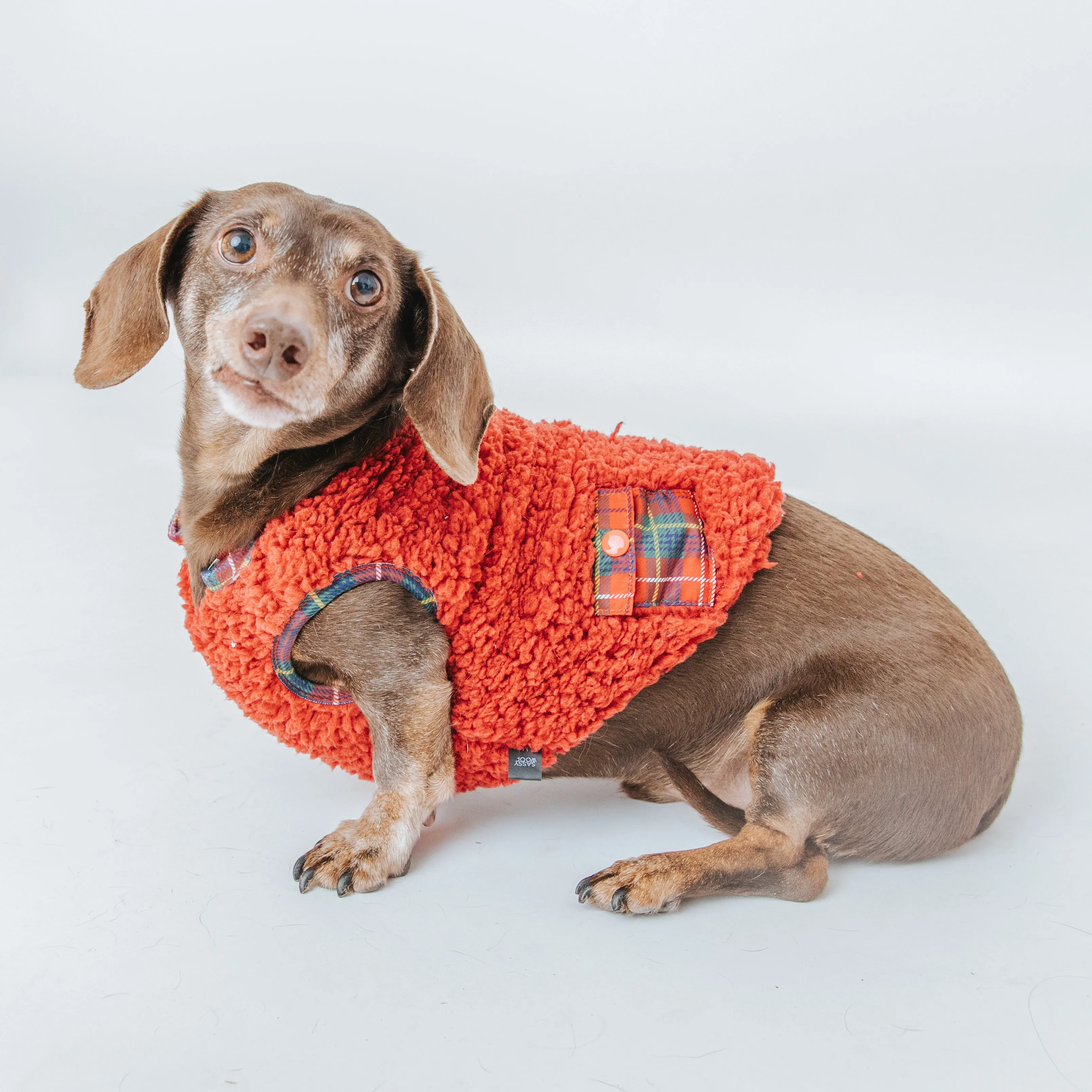 Dog Reversible Sherpa Jacket - Deck the Paws