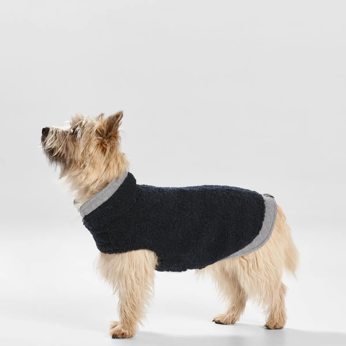 Teddy Dog Coat with Double Collar and Hem